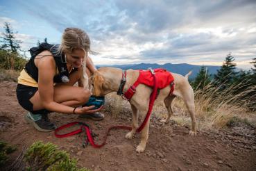 Ruffwear Switchbak Harness Blue Moon Gr. L/XL